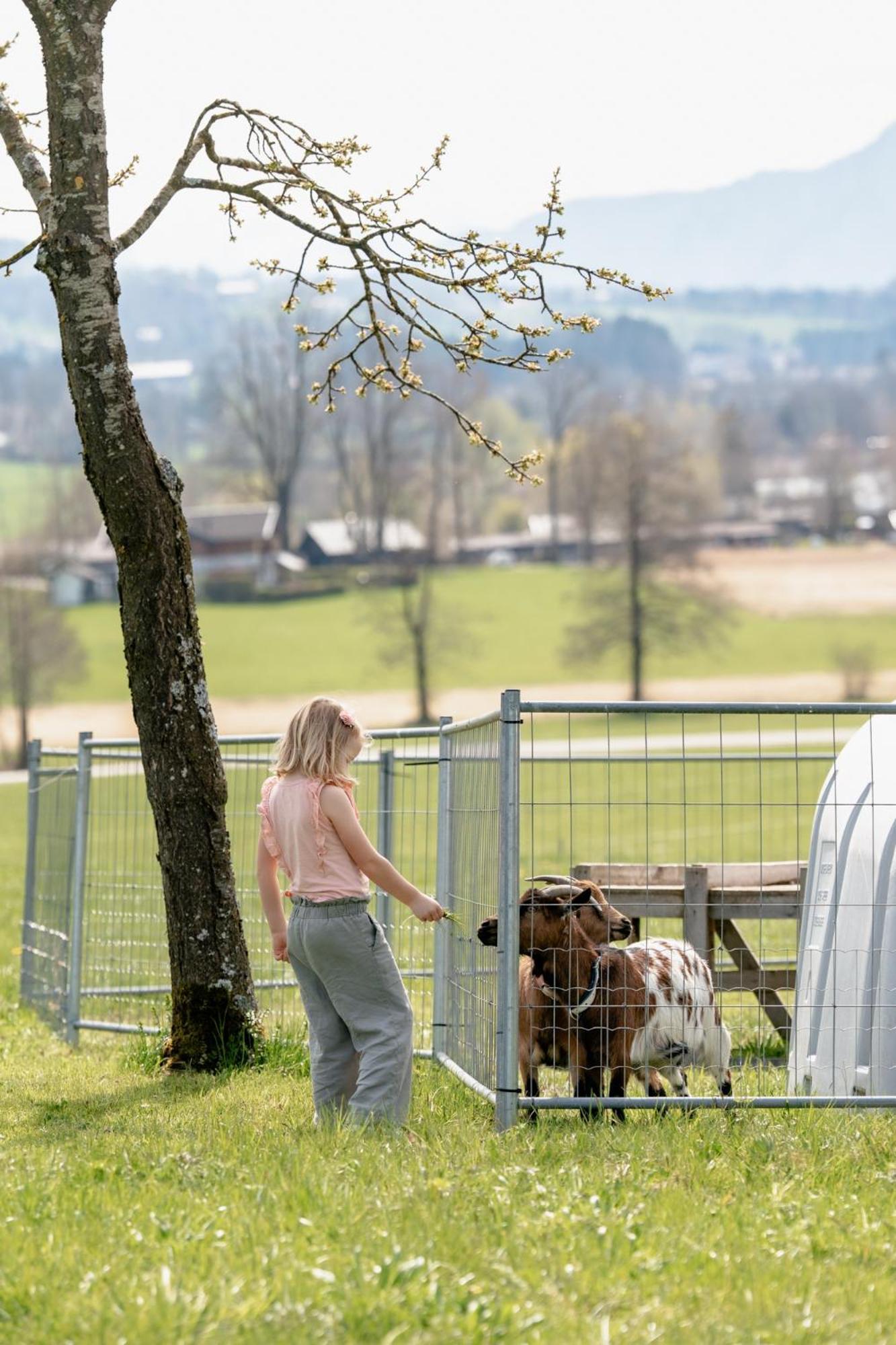 Willa Sunnhof Oberhofen am Irrsee Zewnętrze zdjęcie