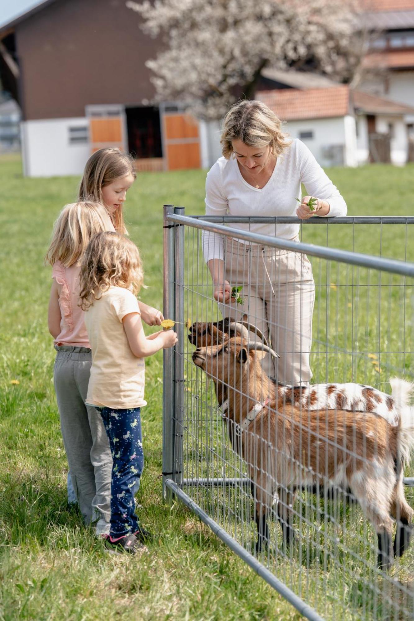 Willa Sunnhof Oberhofen am Irrsee Zewnętrze zdjęcie