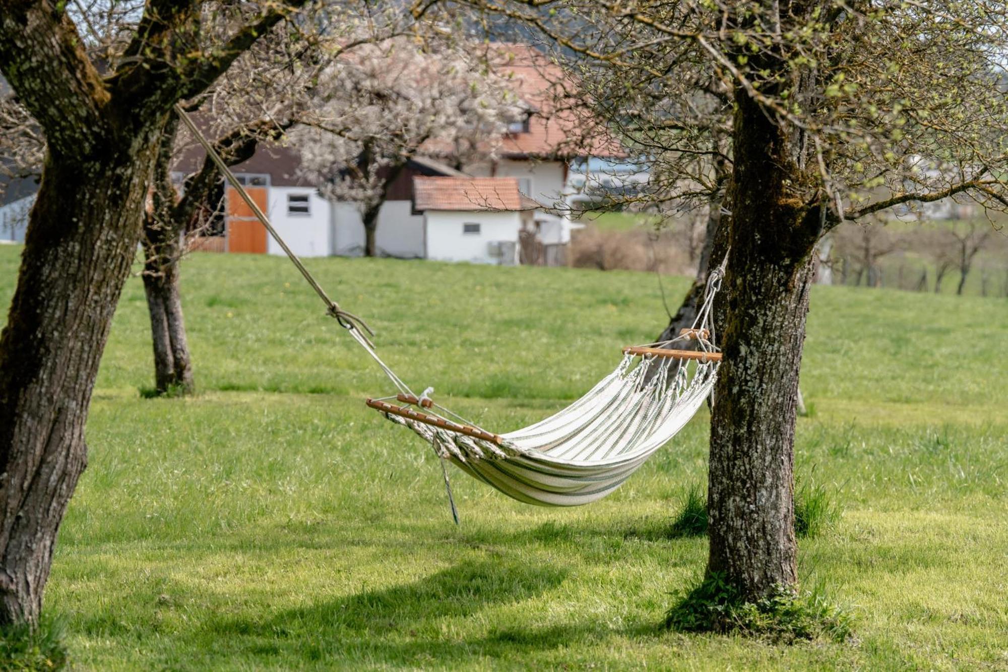 Willa Sunnhof Oberhofen am Irrsee Zewnętrze zdjęcie